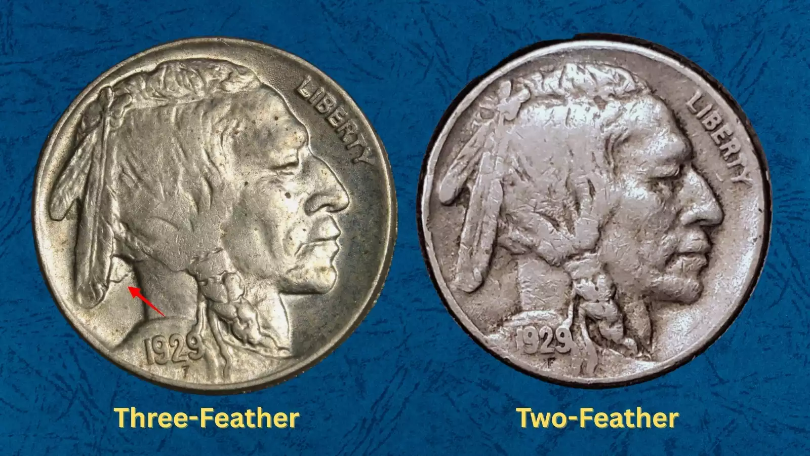 1929-S Buffalo Nickel Two Feathers FS-401 variety showing only two feathers in the Native American headdress