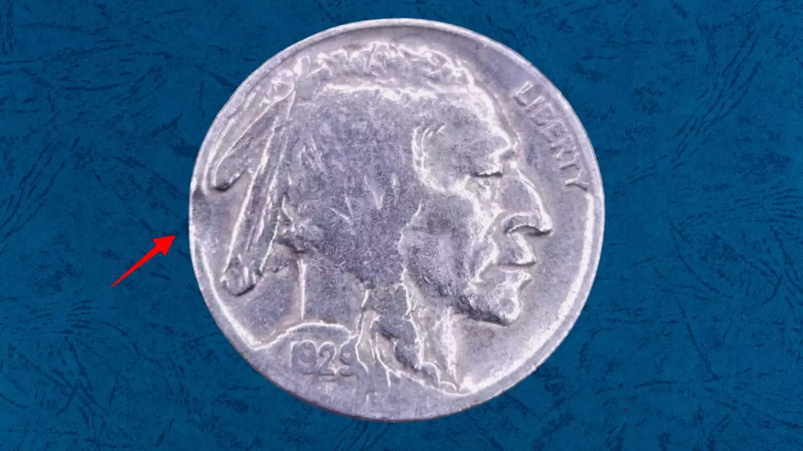 1929 Buffalo Nickel clipped planchet error showing a curved section missing from the rim of the coin