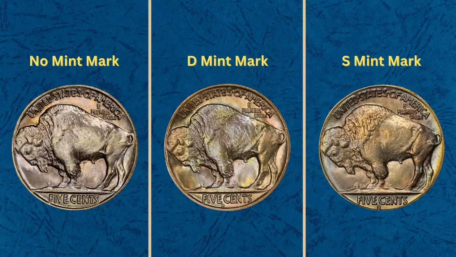 1929 Buffalo Nickels from all three mints — Philadelphia, Denver, and San Francisco — showing the different mint mark positions